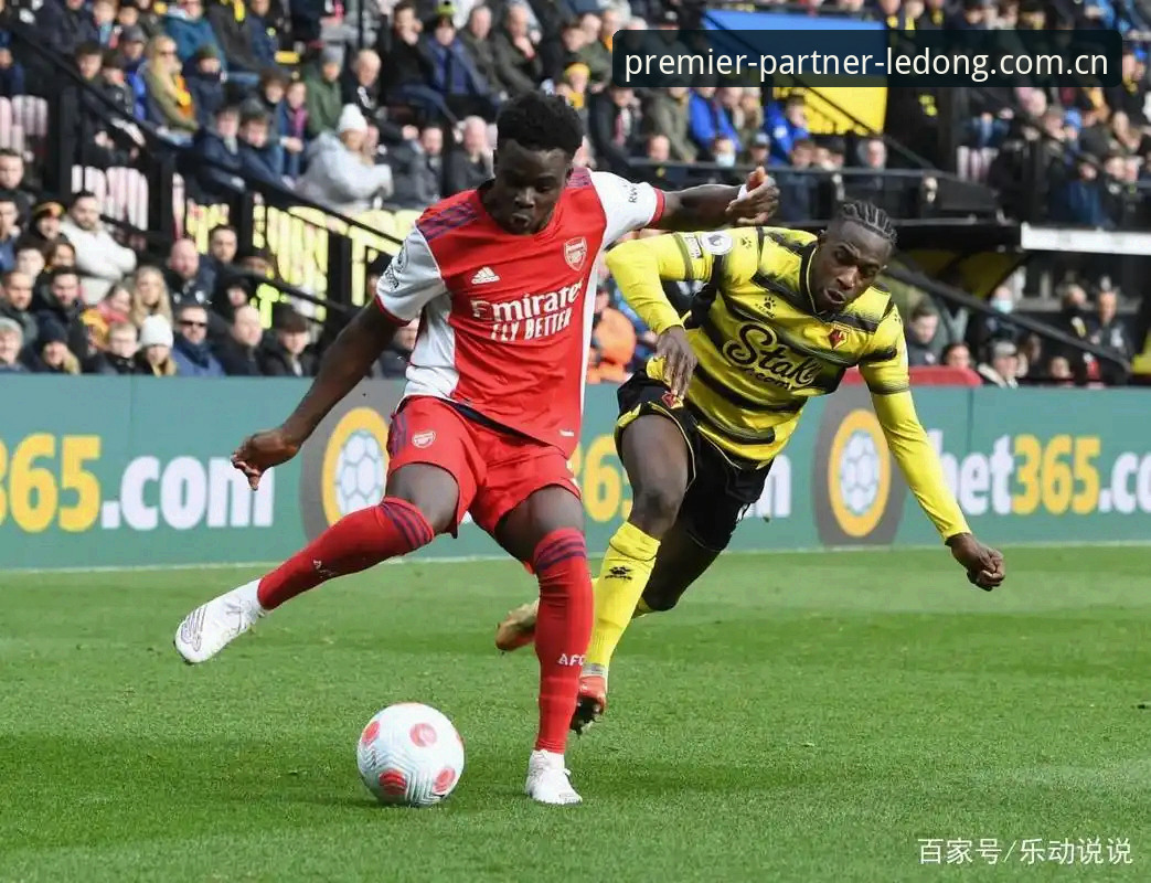 揭秘：当“英超合作伙伴”不再唯一，热门体育平台替代乐动体育背后的真实体验